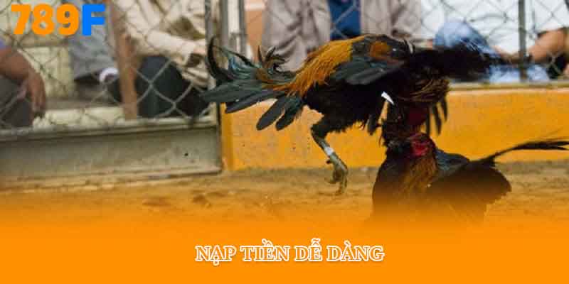 Nạp tiền dễ dàng