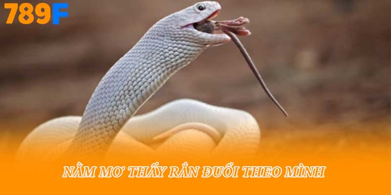 Nằm mơ thấy rắn đuổi theo mình