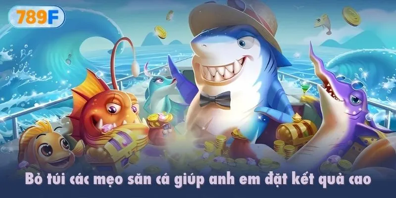 Bỏ túi các mẹo săn cá giúp anh em đặt kết quả cao