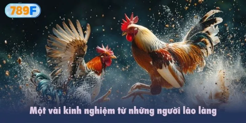 Một vài kinh nghiệm từ những người lão làng