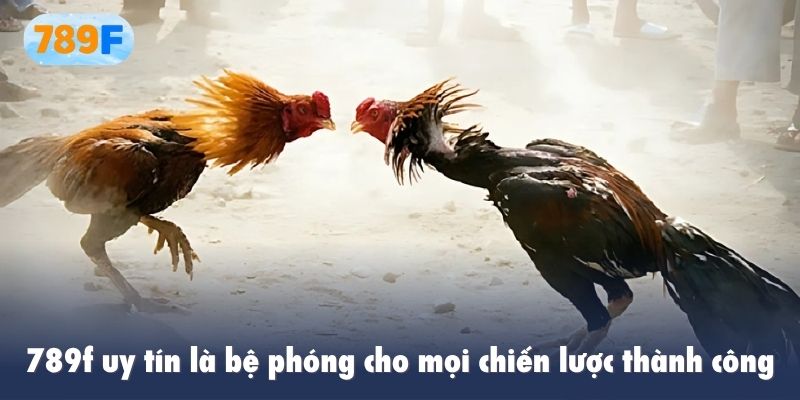 789f uy tín là bệ phóng cho mọi chiến lược thành công