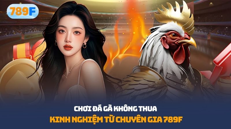 chơi đá gà không thua