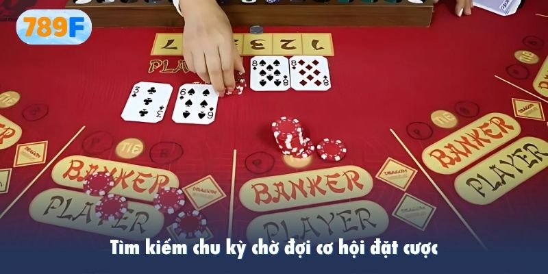 Tìm kiếm chu kỳ chờ đợi cơ hội đặt cược